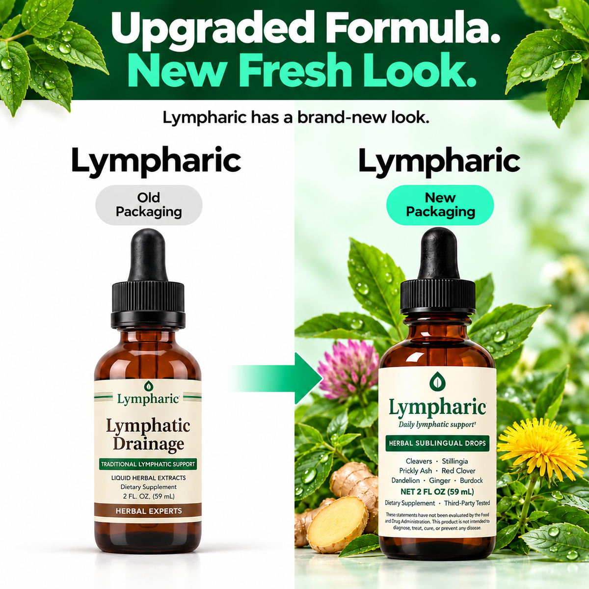 Lympharic Drainage Drop